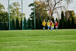 © LIGHTFIELD STUDIOS - A vibrant group of energetic young children sprinting enthusiastically across a soccer field, filled with joy and excitement as they engage in a playful game.