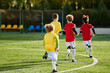 © LIGHTFIELD STUDIOS - A lively scene of children playing a spirited game of soccer, running, kicking, and cheering on the grassy field with enthusiasm and excitement.