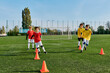 © LIGHTFIELD STUDIOS - A group of young boys enthusiastically playing soccer on a green field. They are dribbling, passing, and shooting the ball with excitement and joy.