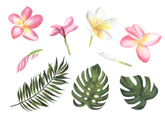 Wall Mural - Tropical floral set. Beautiful soft floral collection with palm leaves and flowers tropical leaves,plumeria. Watercolor hand drawn individual elements. Perfect for wedding,invitations.