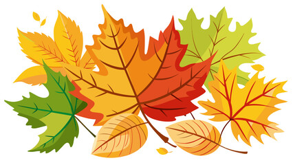 Wall Mural - autumn leaves collection vector illustration