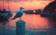 Serene Seagull at Sunset Harbor
