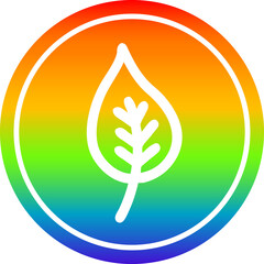 natural leaf circular icon with rainbow gradient finish