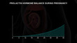 Prolactin hormone balance during pregnancy graph 3d illustration