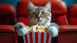 Cat sitting with popcorn in cinema hall and watching movie.