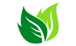 vector green leaf icon logo