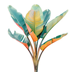 Wall Mural - A plant with a large green leaf