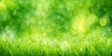 Fototapeta  - Blurred texture background with bokeh, out-of-focus blur, bright sunny summer green