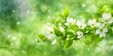 Fototapeta  - A dreamy spring-themed abstract background with out-of-focus blossoms and leaves