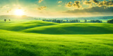 Fototapeta  - Minimalist photography capturing a sunny summer landscape with lush green vegetation