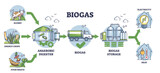 Fototapeta Panele - Biogas production stages with bio gas generation explanation outline diagram, transparent background. Labeled educational scheme with process from slurry and crops to storage and heating.