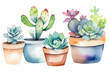Beautiful colourful succulent plants in pots, set, watercolour painting on white background, flower postcard