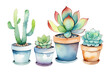 Beautiful colourful succulent plants in pots, set, watercolour painting on white background, flower postcard
