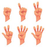 Fototapeta Dinusie - Hand gesture sign fist arm, isolated icon set. Finger counting. Sign language. Set of realistic human hands, signs. graphic design illustration