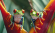 Closeup of two red-eyed tree frogs sitting on the edge of a heliconia flower