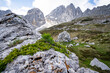 Im alpinen Hochgebirge - bizarres Geröll mit spärlichem Bewuchs und schroffe Felsformationen. Landschaftsfoto.
