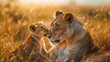 Lioness and Cub Exchanging a Gentle Nose Touch at Sunset