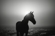 Silhouette of horse with harness on its face is standing in front of large body of water under foggy sky.