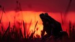Against the backdrop of a crimson sunset, a frog basks in the fading light, its silhouette a stark contrast against the fiery sky.
