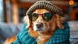   A tight shot of a dog donning sunglasses and a hat, adorned with a knitted hat atop its head