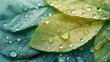 Artistic arrangement of water droplets forming patterns on a leaf, symbolizing natural hydration, solid color background, 4k, ultra hd