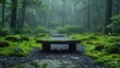Tranquil meditation corner in a mossy forest, embodying the essence of nature and calm, solid color background, 4k, ultra hd