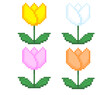 Pixel illustration of tulips in 4 colors