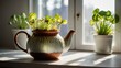 Warm, inviting photo of a ceramic teapot with young green plants sprouting, set in a sunlit home