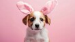 Adorable puppy wearing fluffy bunny ears against a soft pink background. Perfect for Easter celebrations. Cute pet portrait. Style is playful and joyous. AI