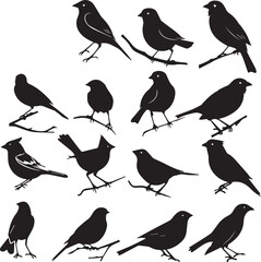Wall Mural - Set of Birds Black on white background