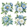 set of 4 bouquets of blue camelia  on white background, clipart, isolated