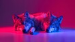   A pair of wolves recline side by side on a pink and blue floor Behind them, a red and purple backdrop unfolds