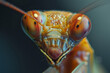 A close up of a bug's face with red eyes and a red nose