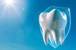 Protective Dental Shield