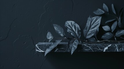 Black leaves on marble shelf against dark textured wall. Moody botanical photography. Silhouetted black leaves on dark marble.