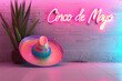 colorful sombrero with  cinco de mayo neon sign against a brick wall and potted plant