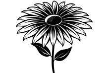 Black Eyed Susan Flower Silhouette Vector Illustration