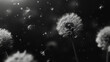 Black and white image of blooming dandelion flying in air. Generative AI