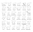Dog breed set collection vector line contour silhouette illustration isolated. Pit bull terrier, wire fox terrier, corgi, German shepherd, hound, doberman, husky, poodle, rottweiler. Dog shape shadow.