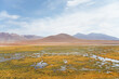 Beautiful landscape shot of arid mountains and a lagoon in Atacama desert, Chile