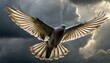 Majestic pigeon in mid-flight amidst an ethereal and contrasting sky symbolizing freedom and the untamable spirit of nature.”