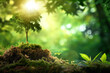 Öko-Konzept zum Tag der Erde mit tropischem Waldhintergrund, Szene zur Erhaltung natürlicher Wälder, Konzept Nachhaltigkeit