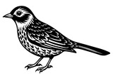 Fototapeta  - bird vector illustration