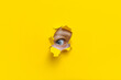 The right eye looks into a hole in the yellow paper. The child watches his parents. A curious look. Jealousy, eavesdropping concept. Copy space.