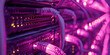  UTP Cables Spark High Demand ,High Demand for Lilac UTP Cables ,UTP Cables Garner High Demand