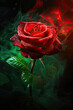 Beautiful red rose with water drops on a dark background with smoke