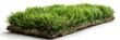 green grass isolated on white,
Green fake grass is used for carpet, walls, and floors