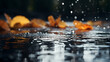 Close-up of the moment water such as rain falls to the ground