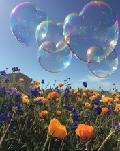 Heart-shaped Bubbles Amongst California Poppies Against A Clear Blue Sky, A Serene Representation Of Nature's Harmony