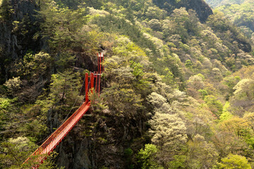 Wall Mural - pedestrian overpass in the mountains